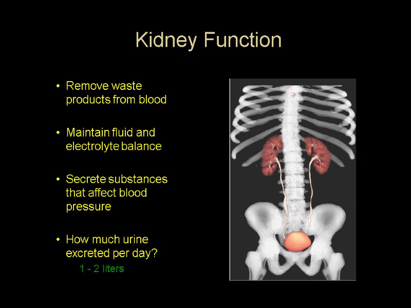 Kidney Function  Remove waste products from blood  Maintain fluid and electrolyte balance